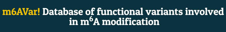Coding