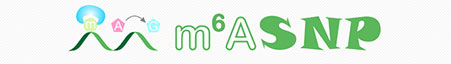 Coding